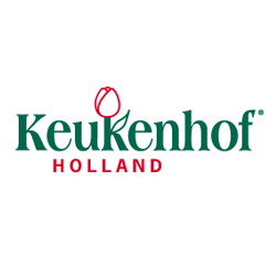 Keukenhof